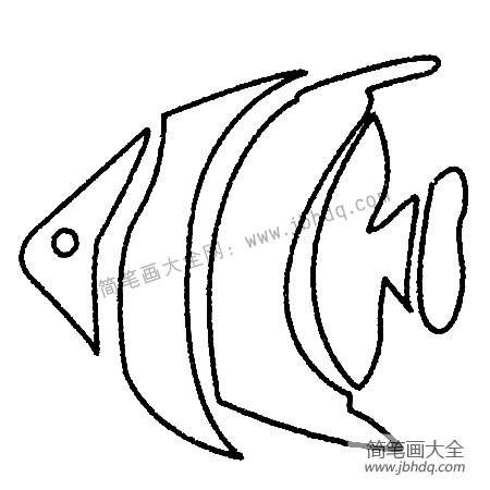 热带鱼简笔画大全及画法步骤