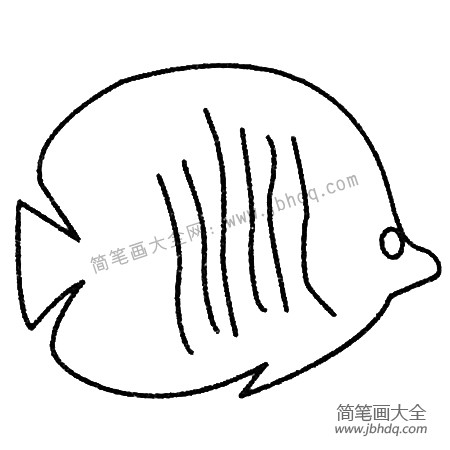 热带鱼简笔画大全及画法步骤