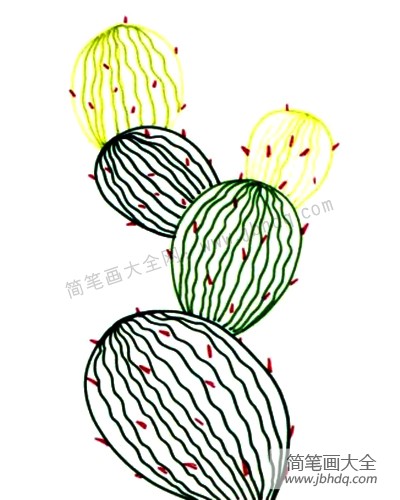 2.多用线条画出仙人掌的  质感，并画出植物上的刺。