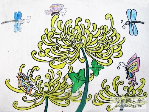 关于重阳节的儿童画-菊花蝴蝶