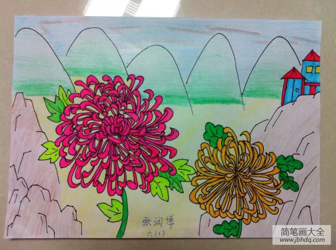 重阳节赏菊儿童画-绽放的菊花