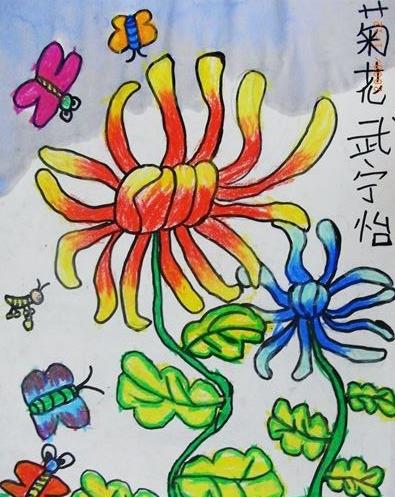 怒放的菊花,重阳节活动主题儿童画作品分享