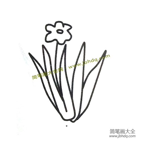 6张漂亮的水仙花简笔画图片