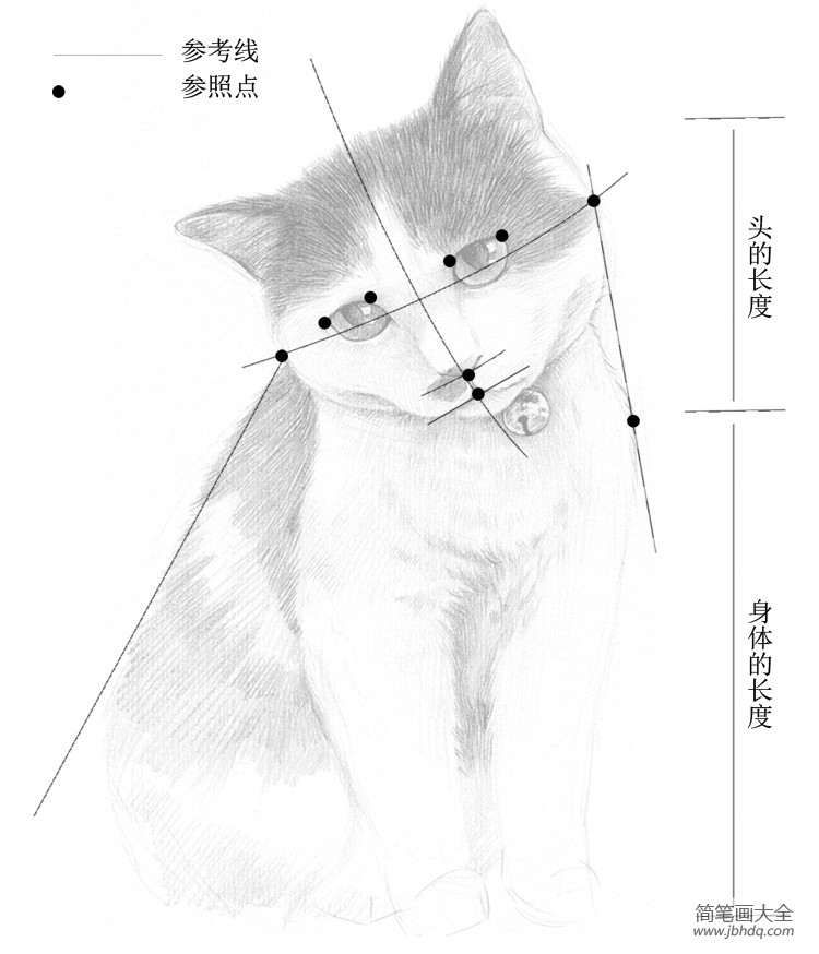 零基础学素描：猫咪素描步骤详解