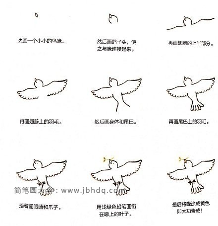 幼儿学画小鸟的步骤图片
