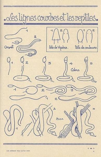蛇的画法步骤图