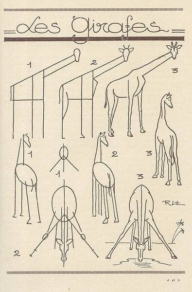 长颈鹿的画法步骤图