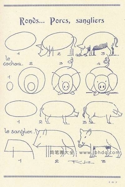 猪的画法步骤图