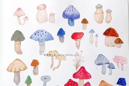 各种蘑菇的彩色手帐素材