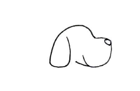 第二步：以鼻子为起点画出斑点狗的头部，有点长的耳朵垂在脸部，笑着的嘴巴。