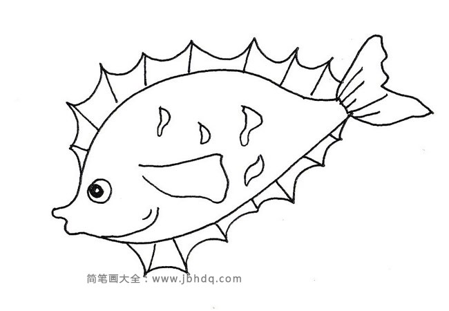 14种热带鱼简笔画图片大全