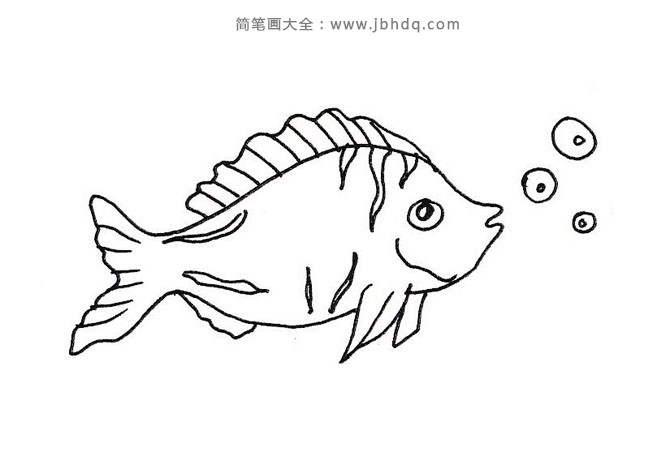 14种热带鱼简笔画图片大全