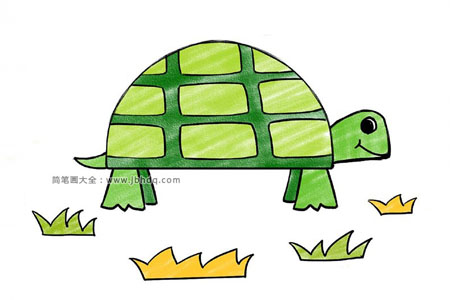 九步画一只可爱的小乌龟