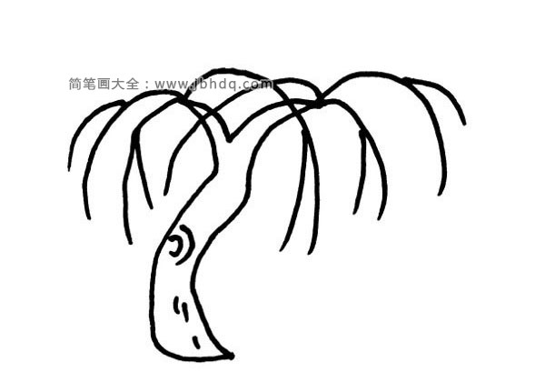 柳树简笔画1