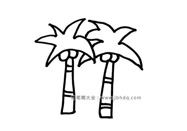 椰子树简笔画1