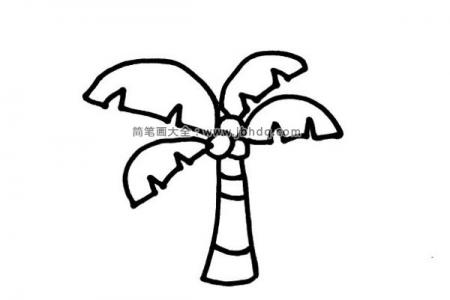 三种椰子树的画法