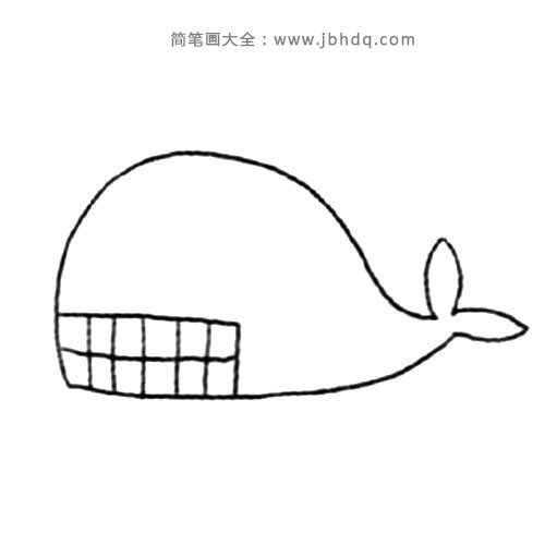 2.再画大白鲸的牙齿。