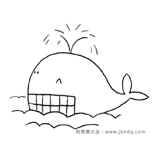 4.最后画大白鲸喷出的水。