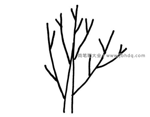 9张画树的简笔画超简单