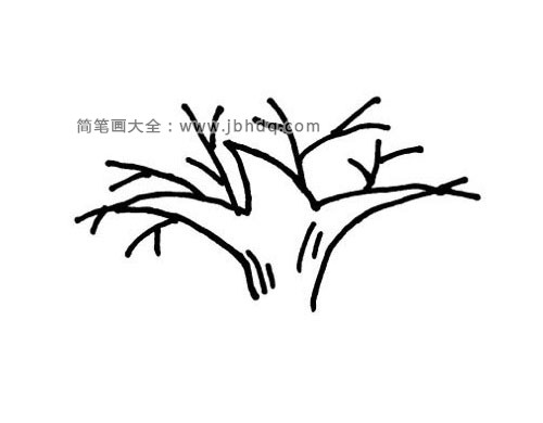 9张画树的简笔画超简单