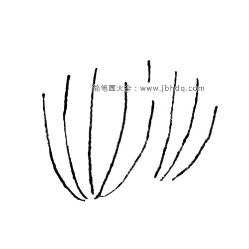 1.画出放射状生长的几根茎。