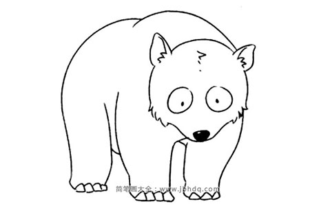 动物的画法 北极熊