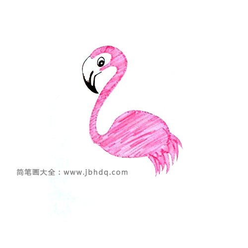 1.先画出中间位置的火烈鸟的头和身体，嘴巴要画得大，脖子要画得长，涂浅粉色就可以了。