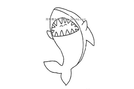 动物的画法 鲨鱼