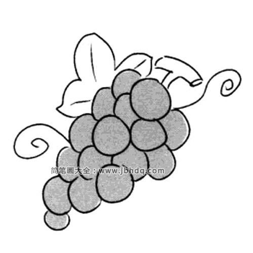 简单的葡萄简笔画图片