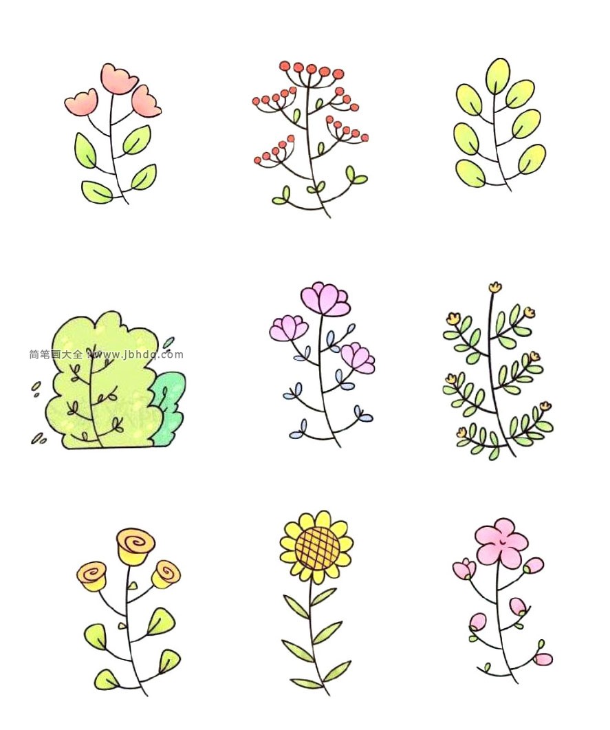 9种植物的简笔画手帐素材