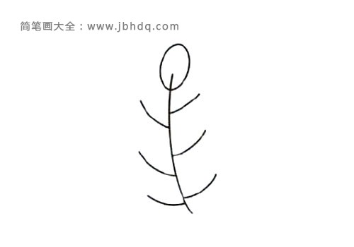 2.画一个椭圆形当树叶