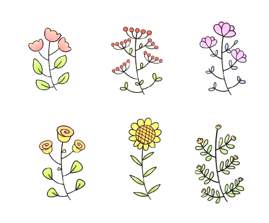 7种花朵的简单画法步骤图
