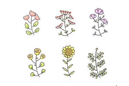 7种花朵的简单画法步骤图