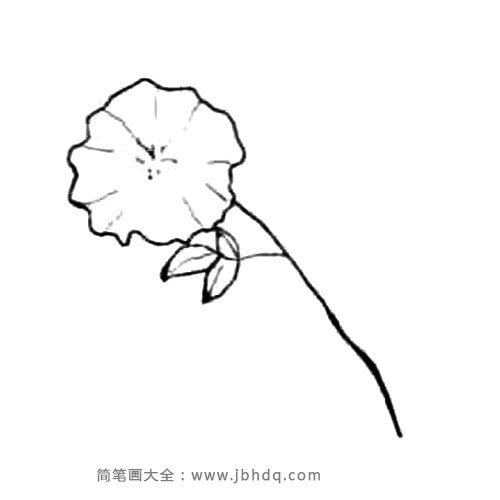 4.最后画花蕊和叶子。