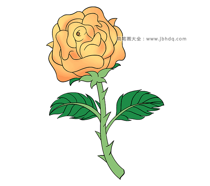 黄玫瑰简笔画图片2