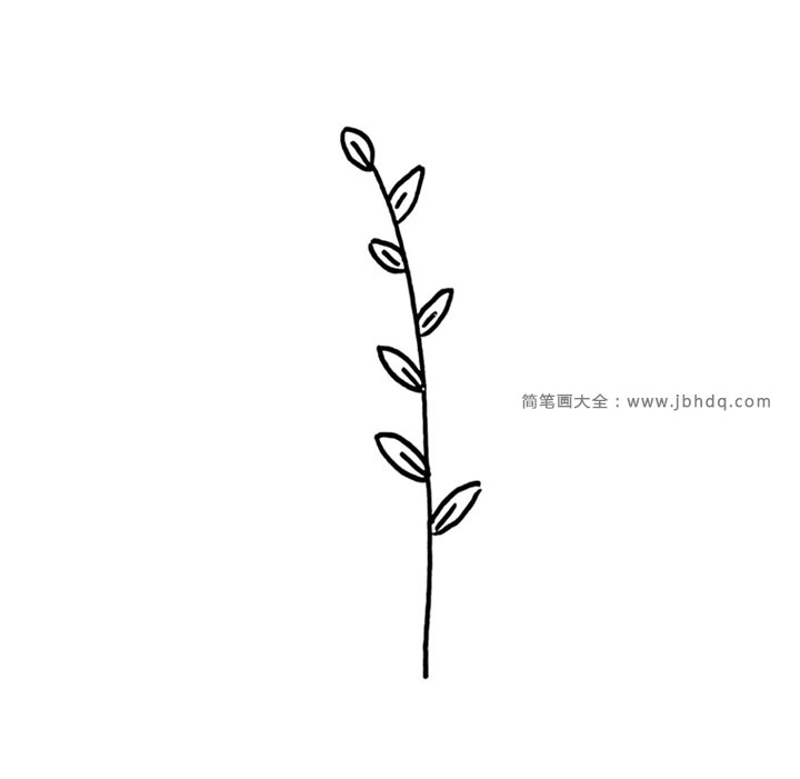 植物黑白手帐素材8