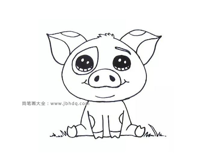宠物猪简笔画图片1