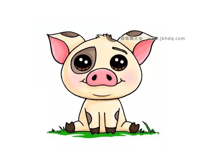 宠物猪简笔画图片2
