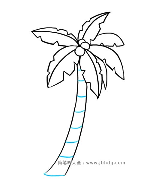棕榈树简笔画图片1