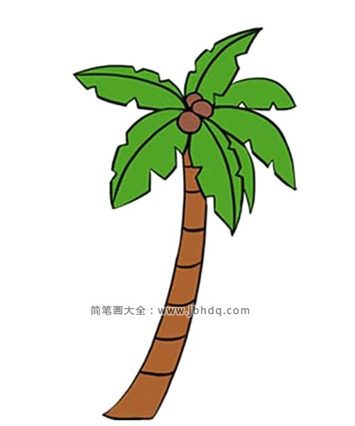 棕榈树简笔画图片2
