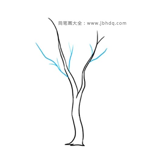 3.绘制树干上的枝条。