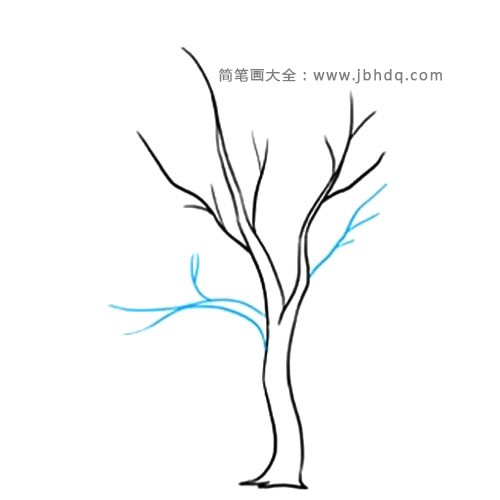 4.使用两条线，从树干上画另一条宽枝。