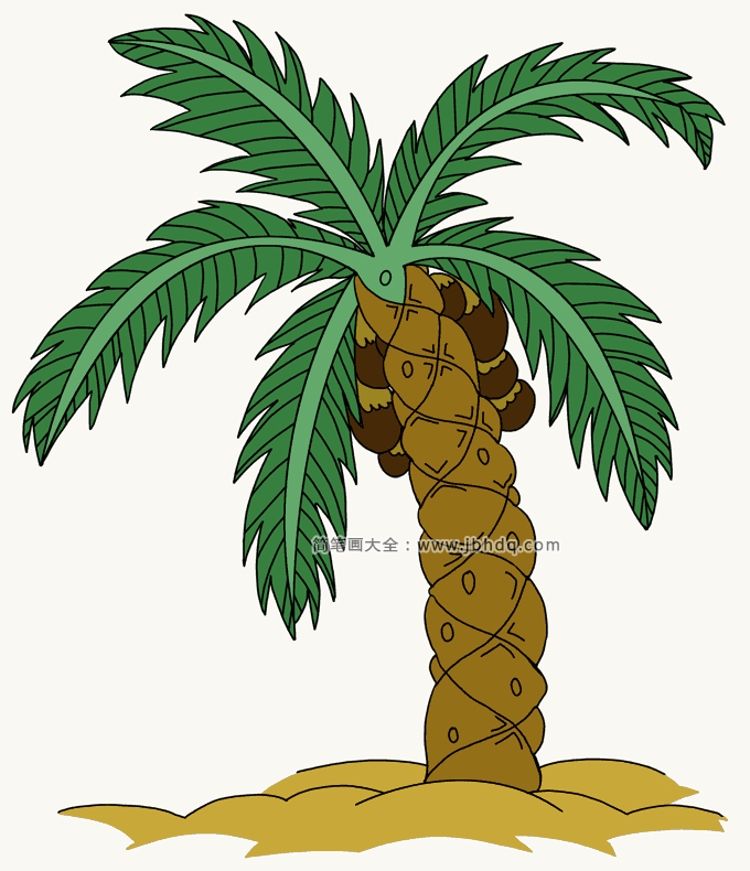 沙滩上的棕榈树2
