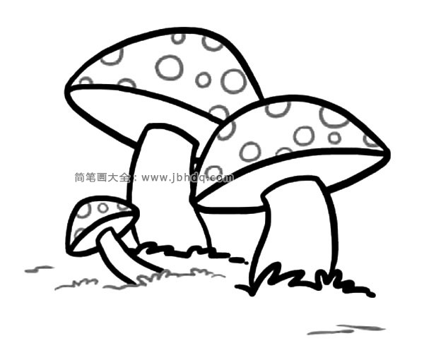 草地上的蘑菇简笔画1