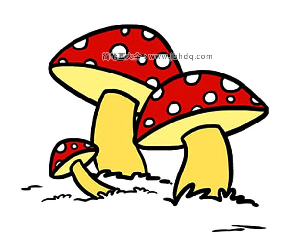 草地上的蘑菇简笔画2