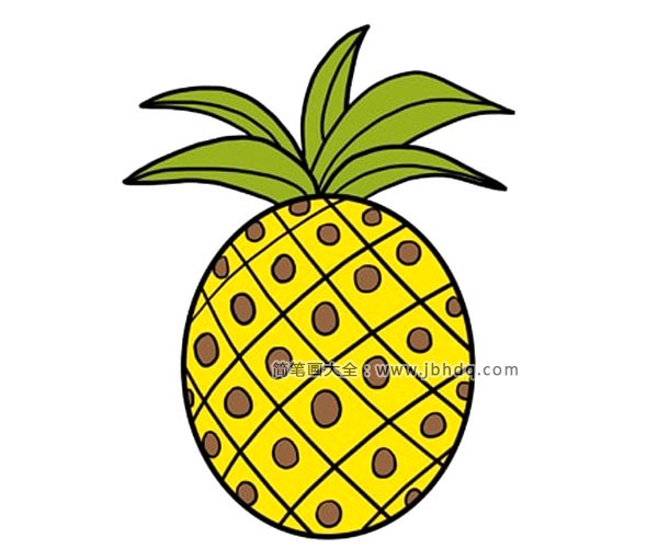 儿童学画简笔画 菠萝