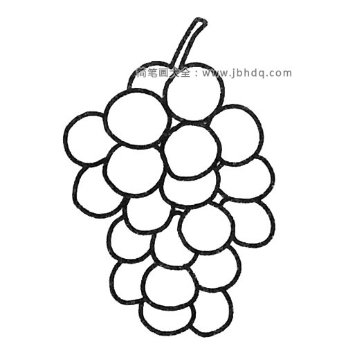 漂亮的葡萄简笔画图片3