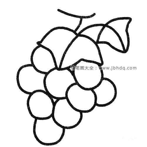 漂亮的葡萄简笔画图片6
