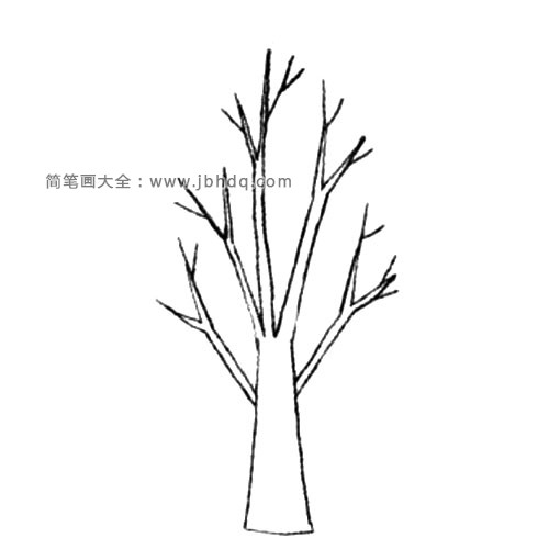 2.画出树丫和树的整体轮廓。