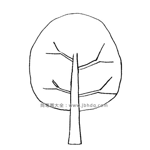 2.画出小的枝丫和整体叶子的轮廓。